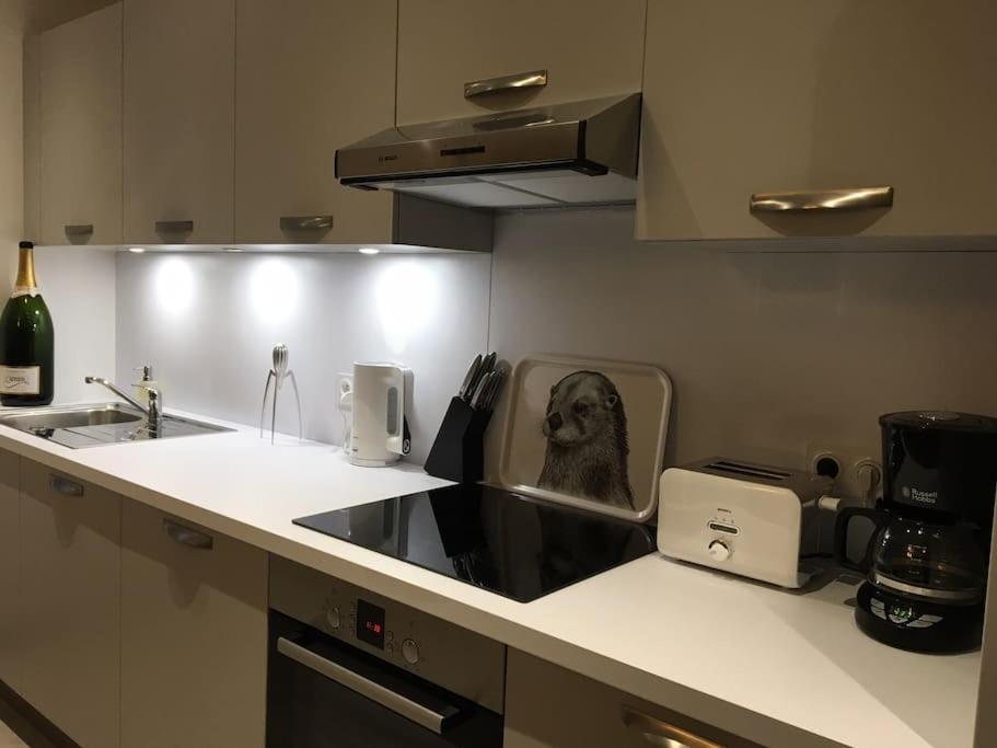 Comfortable, Cozy, Chill, Spacious, Near Cathedral Reims Buitenkant foto